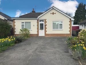 Front Shot- click for photo gallery